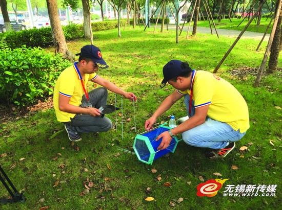 工作人员手里拿着捕蝇神器。