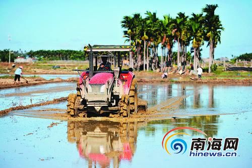 万宁后安镇曲冲村的村民利用管道抽上来的水整理田地。针对持续旱情，万宁因地制宜，挖田头井，千方百计增加抗旱用水，并增加设备，增强防旱抗旱能力。本报记者王凯通讯员黄良策摄