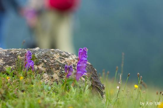 与蜀山皇后的初次邂逅 四姑娘山自驾游_成都汽