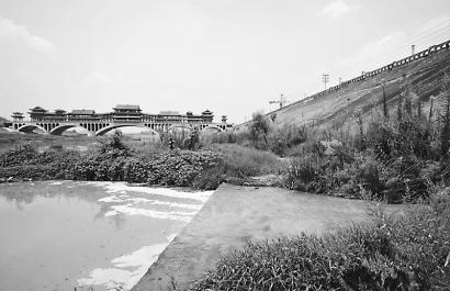 点击图片查看详情 三台县城有多少人口_绵阳市七届人大政法 财金 城建口代表小组代表调研三台