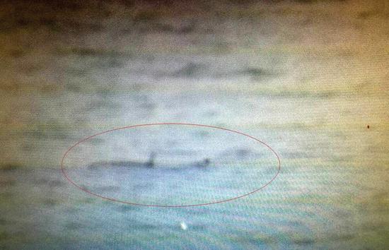 張永勝用手機拍到的疑似鱷魚的照片