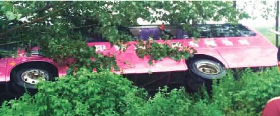 南陽大巴側(cè)翻墜溝