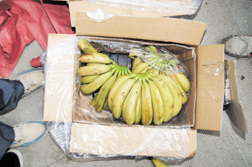 民警找到了香蕉包装盒内的毒品（底部黑色包装物）。警方供图