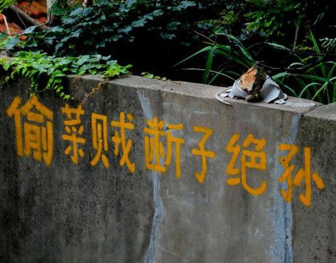 农民诅咒小偷“断子绝孙” 那些年雷倒众生的标语|新浪新闻_知否