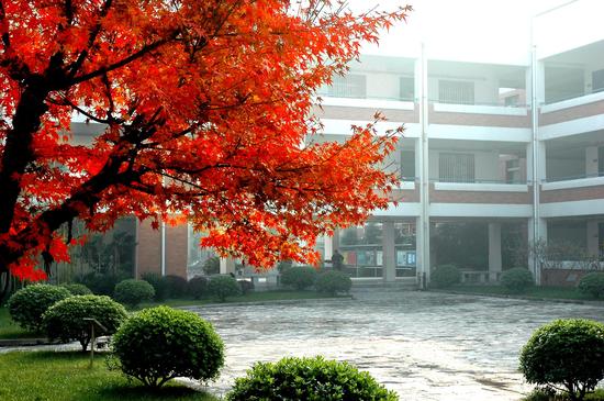 家门口的好学校:南京市建邺高级中学学校第二录取批次万州高中图片