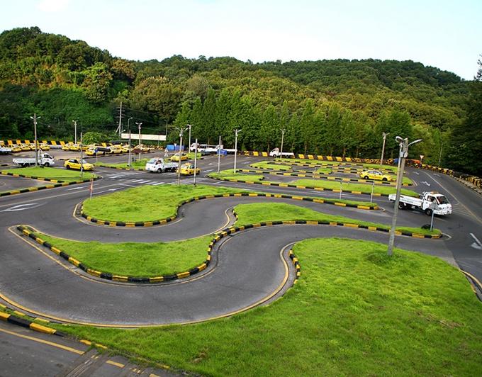 赴济州岛考驾照,你是否也心动了?|新浪新闻_知否