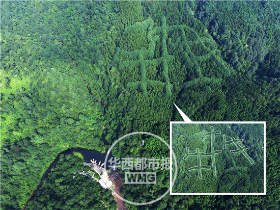 成都山区现神秘“犇”字形图案