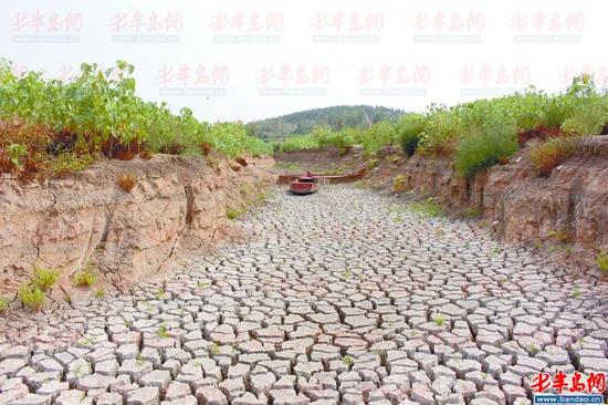 今年2月份挖的水源地,如今已经干涸。