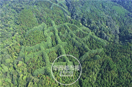 成都山区现神秘“犇”字形图案