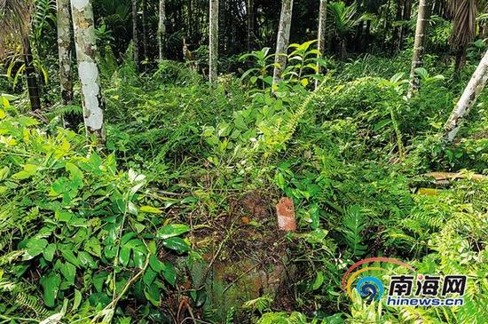 南阳抗日游击队中队队长李良故居宅基地曾被日寇烧毁。本报记者张茂通讯员吴清祥摄