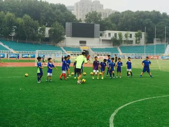 少儿足球培训市场由冷转热 足球小将成长在绿