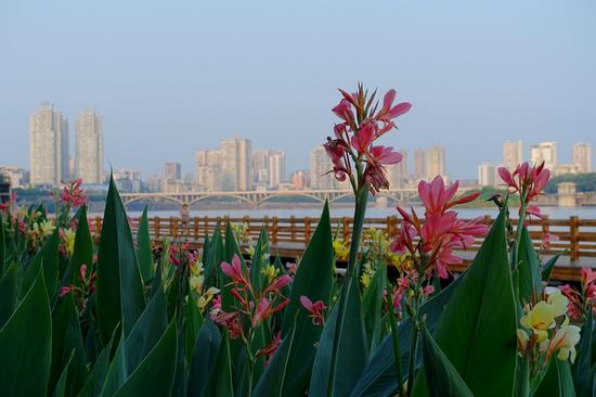 甜城的记忆 四川内江美食之旅自驾游_成都汽车