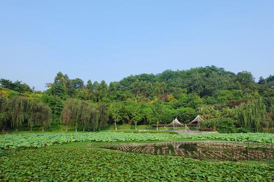 甜城的记忆 四川内江美食之旅自驾游_成都汽车网