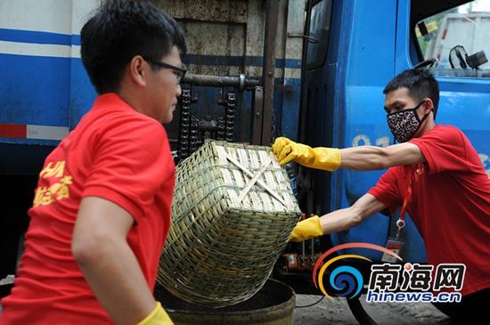 志愿者清理东湖死鱼(南海网记者马伟元摄)