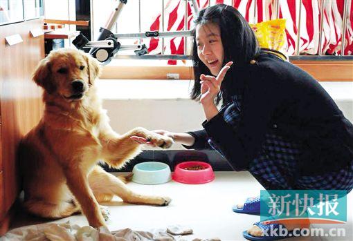 ■一位市民在和狗狗玩耍。受访者供图