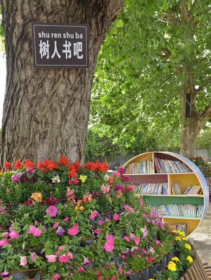 中国最大众筹书院落户阆中古城