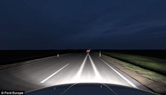 前照灯系统探测到路面上出现一只鹿,聚光灯向