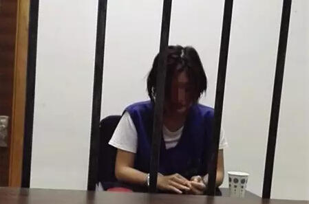 温州1刚毕业<em>女生</em>为<em>收养</em>一只宠物猫 险被骗走2