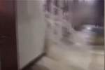 武漢暴雨公交車進(jìn)水變成船 地鐵停運(yùn)龍吐水