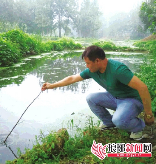 孩子落水的地方,长约3米的树枝够不到底。