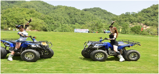 大型草原運動游樂場