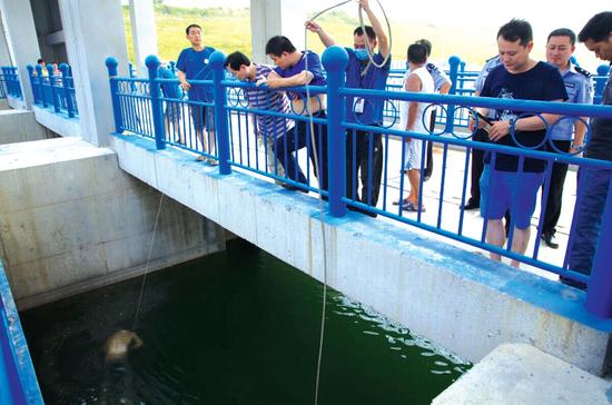 南水北調(diào)渠現(xiàn)男尸頭部有鈍器傷 已高度腐爛氣味難聞
