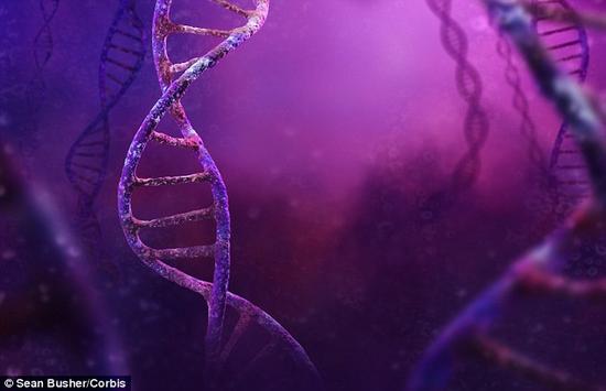 在一项新研究中，科学家收集了这些组织样本，发现生物钟基因的调节和活动在一晚睡眠缺失后发生变化。