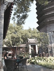 图片版权归原作者所有