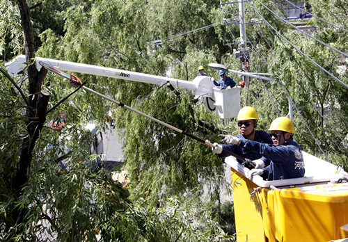員工正在清理線下樹障
