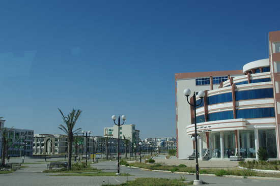 安徽建工建筑阿尔及利亚受青睐 楼坚强地震不