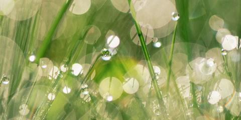 夏季体内湿气重易惹病.揭征兆