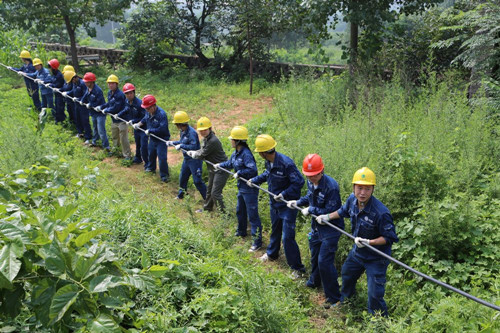 烈日下齊心協力拉線