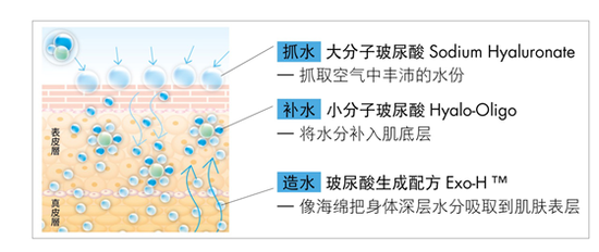 保湿再进化！宠爱之名 玻尿酸 保湿修护系列(主稿) 573