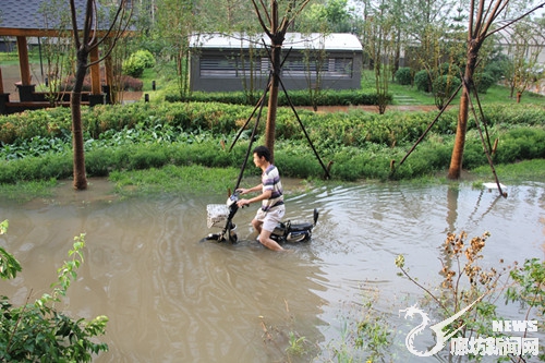 燕郊一高档小区因没下水道下雨后路面成河