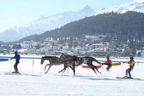 瑞士马术滑雪
