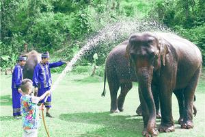 爸爸3回应儿童安全质疑:督促做到万无一失