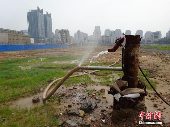 滎陽黃河灘500畝玉米被人為毀壞 疑與土地糾紛有關