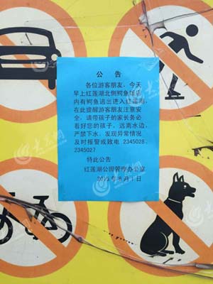 紅蓮湖管委會發出的公告。（仇晶 袁菲菲 攝）