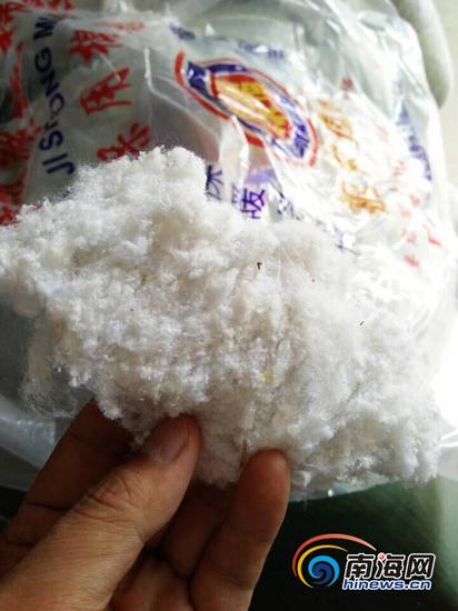 工商执法人员现场将1件棉胎当场撕开,可以看到其中的棉絮如同不规则的颗粒状非常短小。据了解,这种棉胎使用的是典型的黑心棉,对人体健康危害很大。(南海网记者姜飞摄)