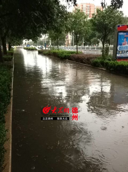 乐陵市兴隆南大街