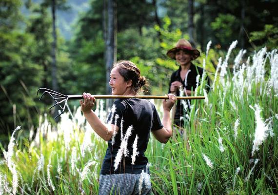 女子深山护林18年 过与世隔绝户外生活