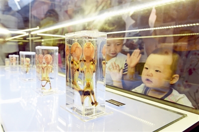 杭州Bodies人体奥秘全球巡展增设夜间场 体验