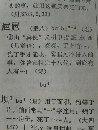 四川方言词典