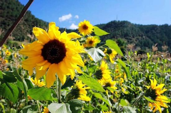 勇闯世界屋脊 东风风度MX6川藏线自驾游_成都