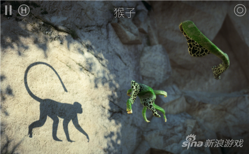 猴子