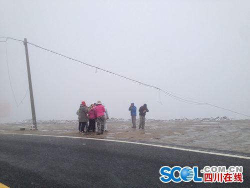 甘孜州折多山八月飞雪