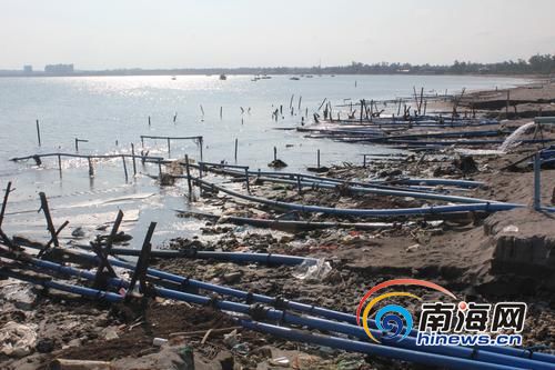 冯家湾海域,排污管随处可见。