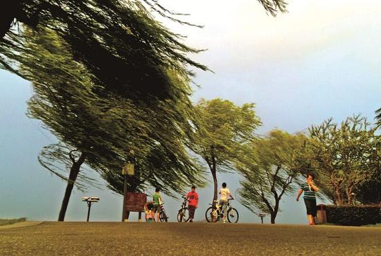 气象部门发布大风蓝色预警 武汉在风中凌乱(图