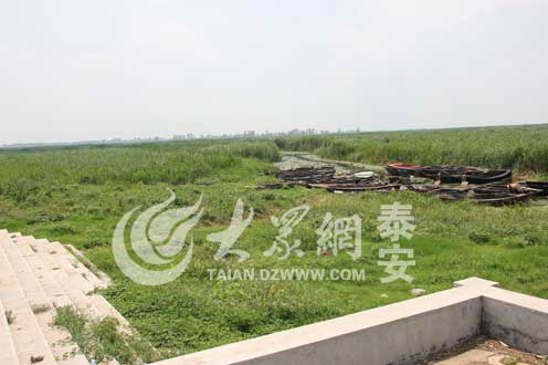 過去臺階處登船,如今要繞道河道才能上船。(趙偉 攝)