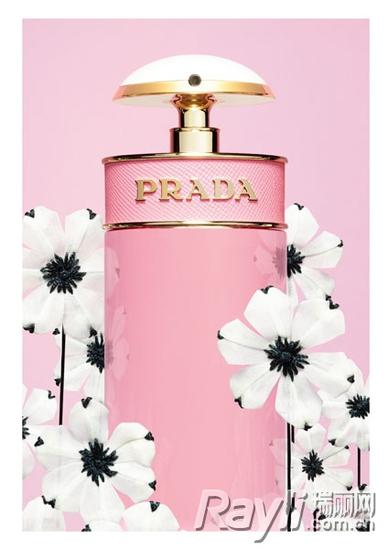 投入梦幻爱情的怀抱——Prada Candy Florale卡迪小姐花漾香水